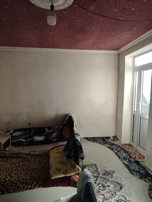 Toshkent tumani dala xovli