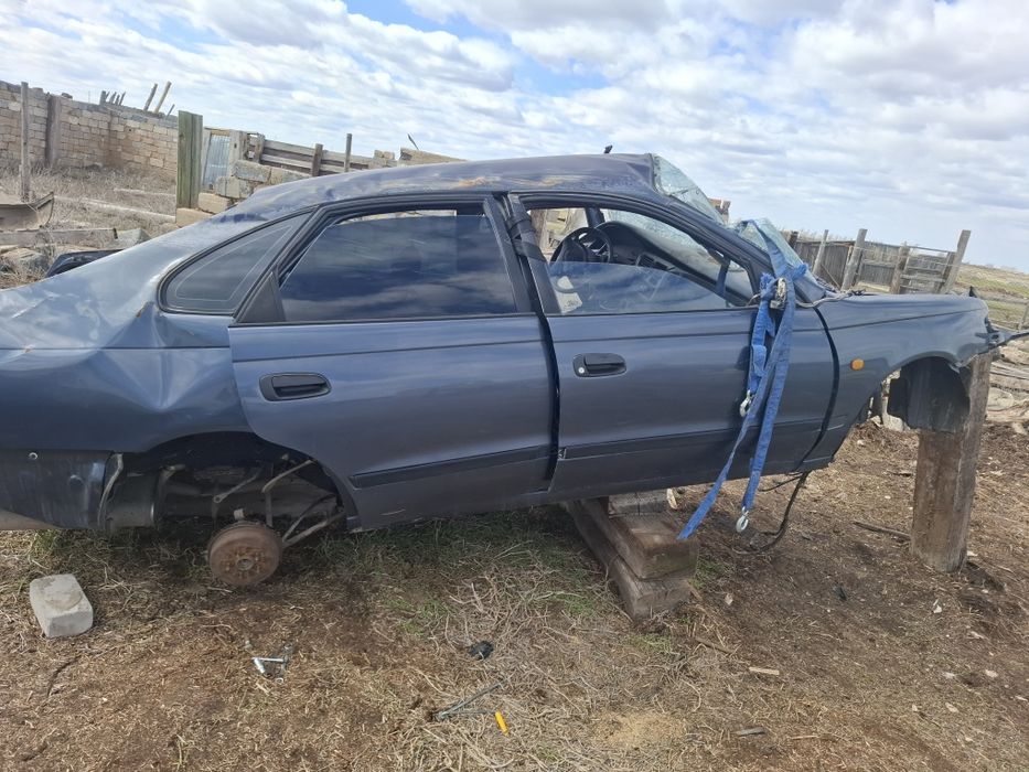 Карина Е 1992 1.6