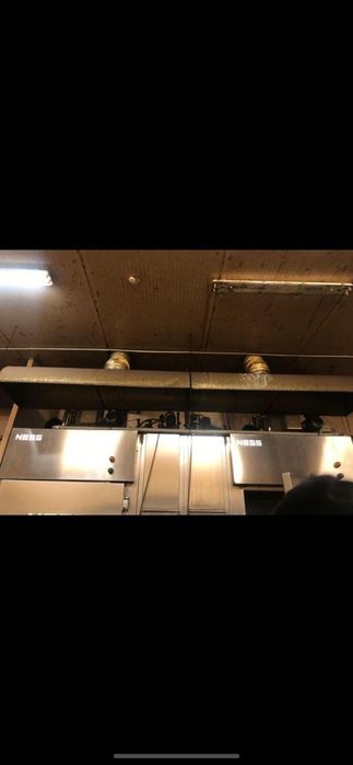 Коптильная камера NESS однорамная