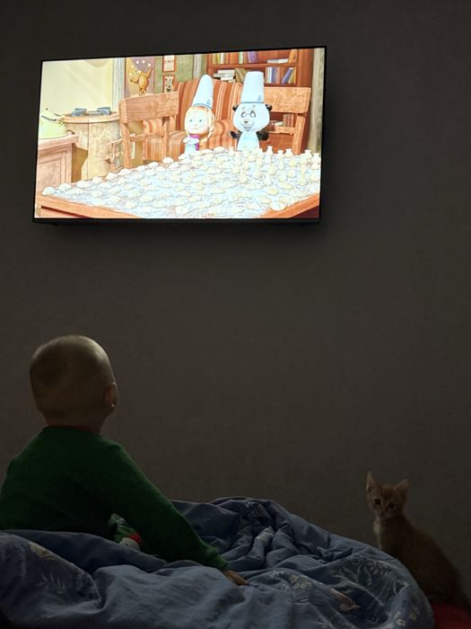 Отдам котенка в хорошие руки