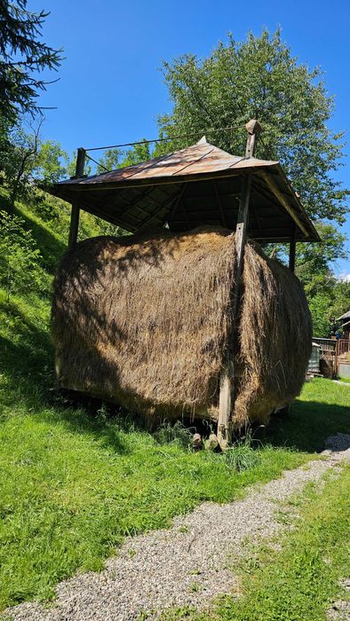Vand fan, din șopru și 5 clăi.
