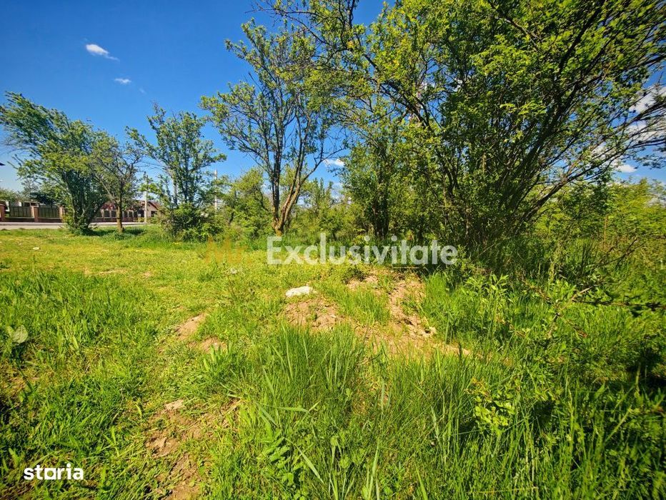 Teren intravilan 2.000 mp in Mioveni – Ideal pentru casa sau investiti