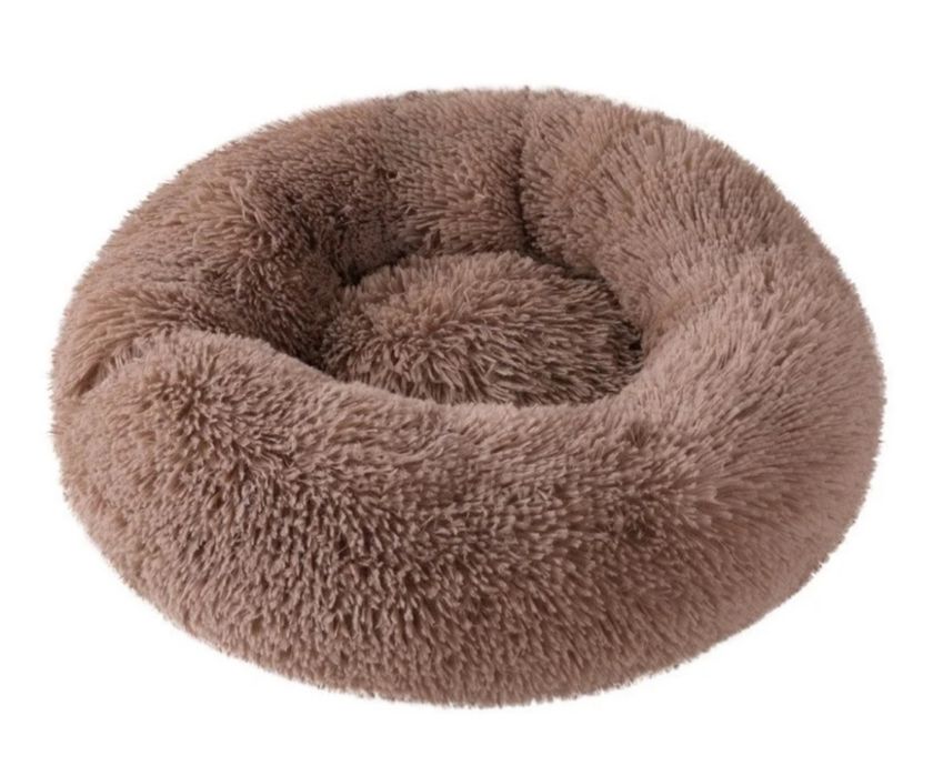 Продаю котенка. Метис