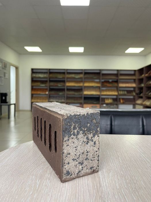 Кирпич клинкерный лицевой WDF М-300, (Россия)