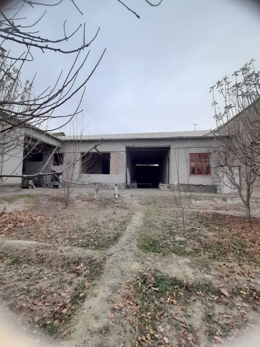 Педколеж истиклол туйхонани оркаси