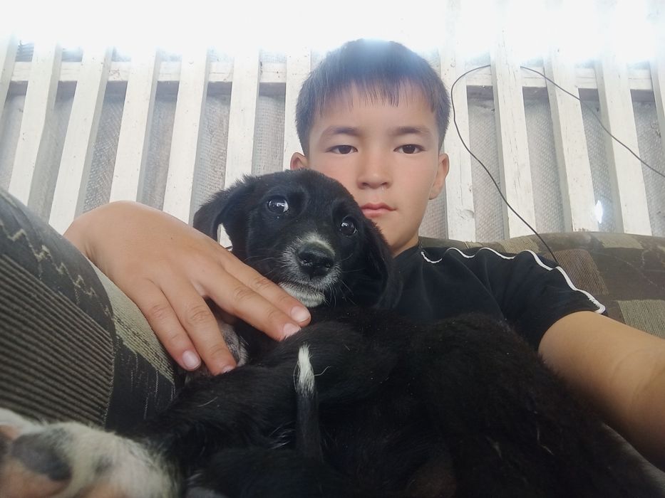 Хорошо кушает Щенок классный