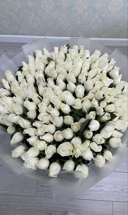 Белые розы 151шт