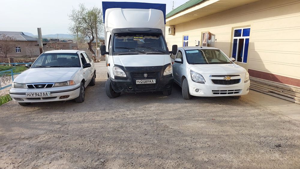 Gazel 2013 2 kurik yurgan