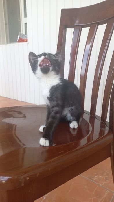 Счастье в ваш дом