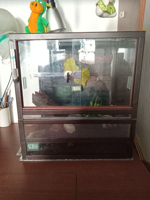 Террариум Террариум