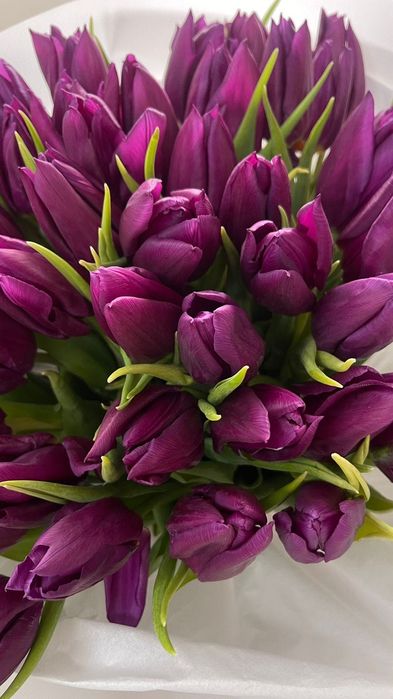 Букет красивых тюльпанов