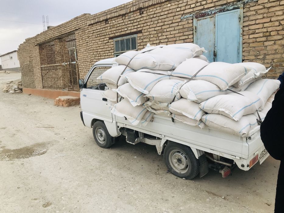 Musor tashish xizmati  Вывоз Мусор