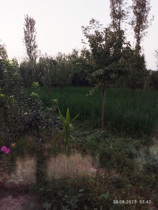 Участок сотилади 5 соток