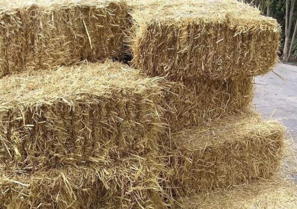Vand baloți de paie