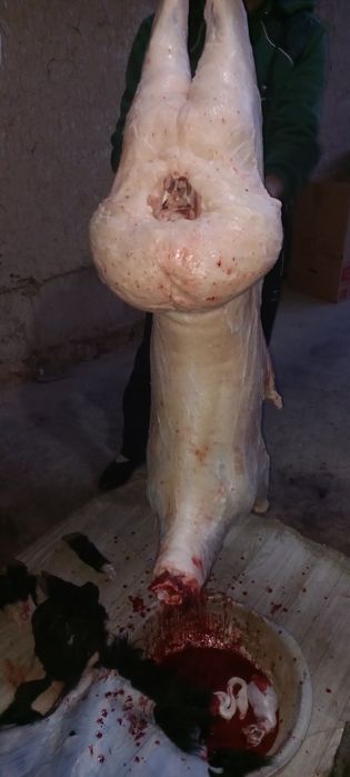 Идеал кассоб хизмати