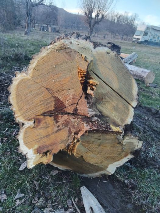 Lemn de Dud de vanzare