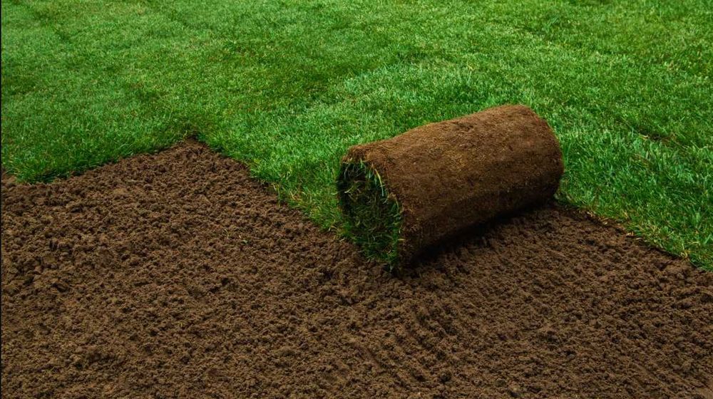 Gazon Rulou pentru Curte si Gradina - Montaj Complet