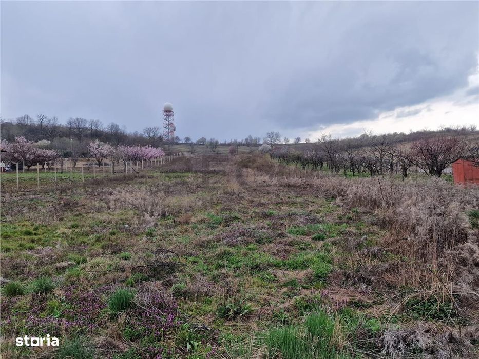 Teren intravilan in Oncea, str. Prunilor