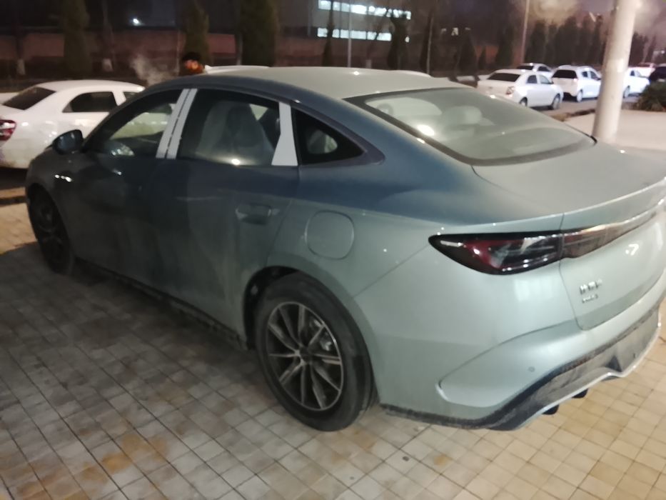 Build your dream seal 06