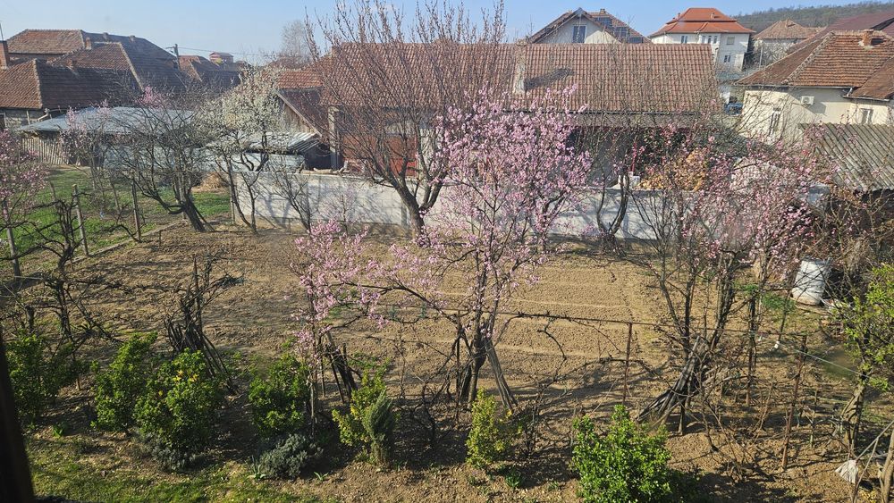 Casa spatioasa cu etaj, 320mp, 500mp teren , Sebis , Arad