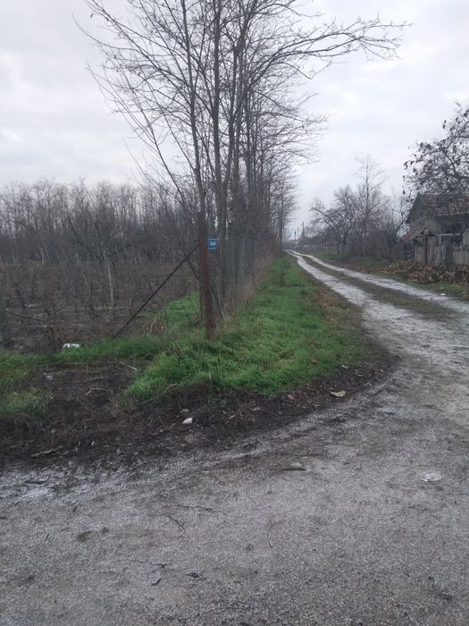 Teren sat Rasa;com Gradistea