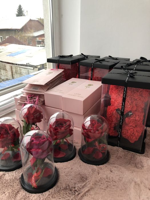 Trandafiri in cupola