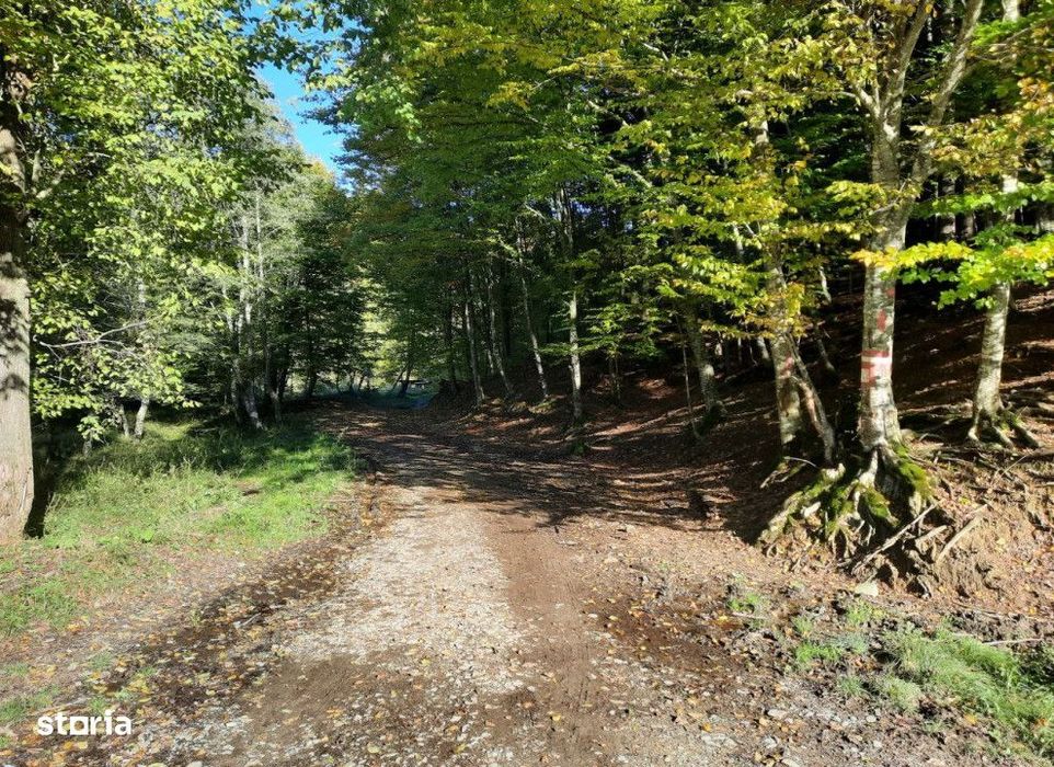 Teren extravilan , 7160 metri Cod:160785