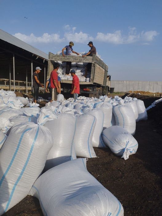 Biogumus gazon va gullar uchun mineral ogit