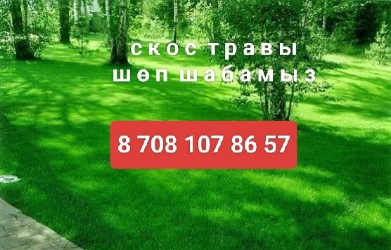 Скос, покос травы