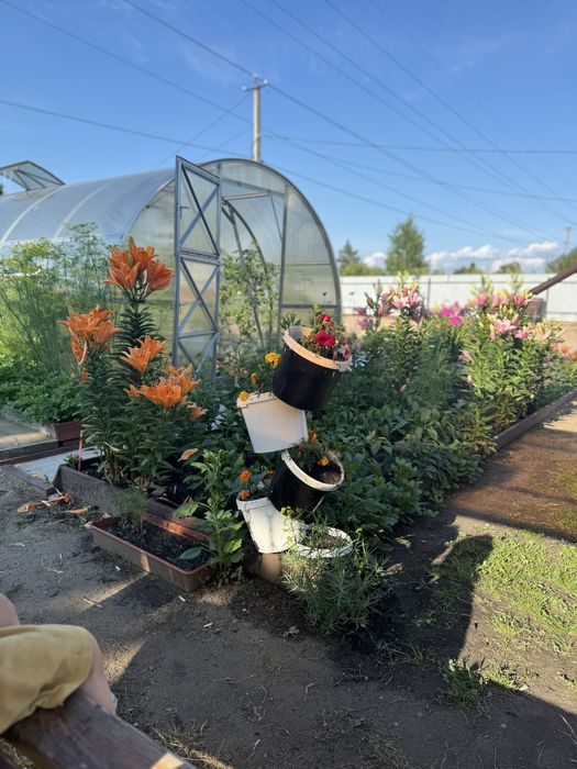 Продам дачу ухоженная