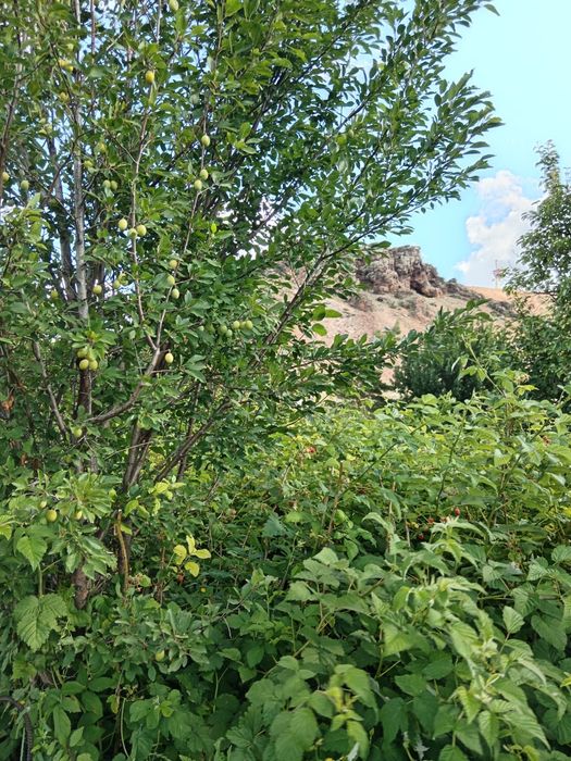 Продаётся дача СПП,,Металлург,,