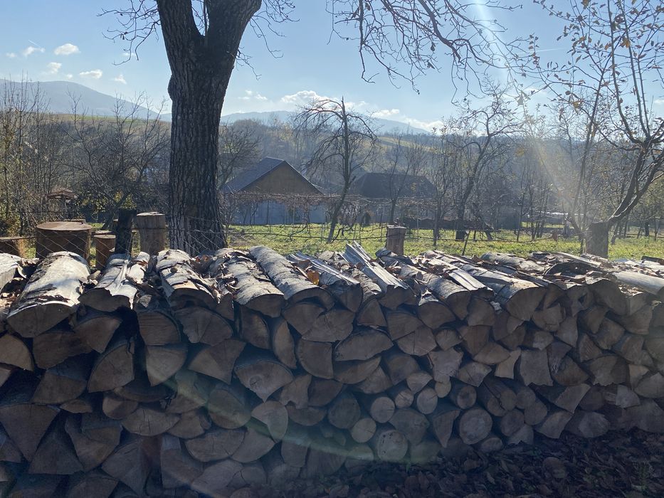 Lemne de fag pentru foc