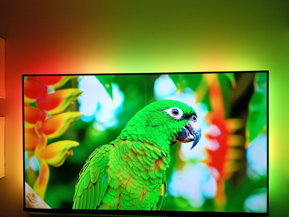 Televizor Philips AMBILIGHT tv LED 164 cm, Smart TV, 4K Ult
