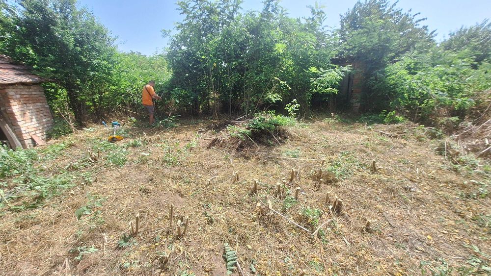 Продава се Къща в Койнаре - 85 кв.м за 228 €/кв.м - Снимка #3