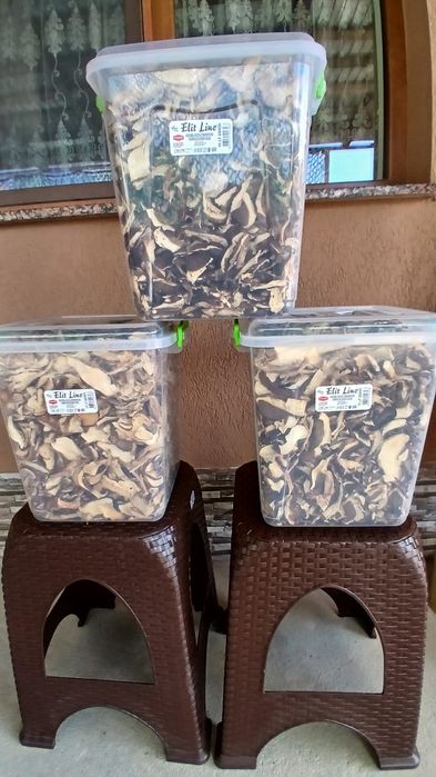 De vanzare Hribi uscatii