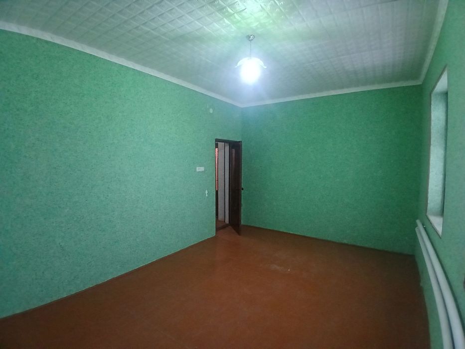 Kotej xovli!! Zamonaviy uslubda