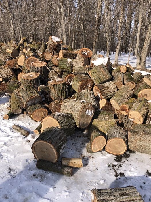 Продаются дрова (карагач сухой)