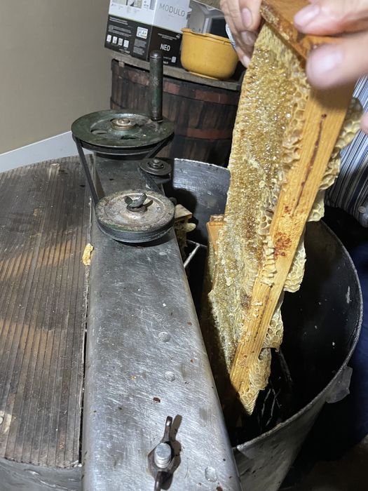 Vând miere naturală 2025