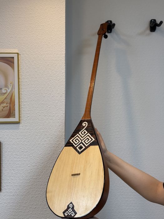 Домбыра Ақтөбе кәсіби профессиональные