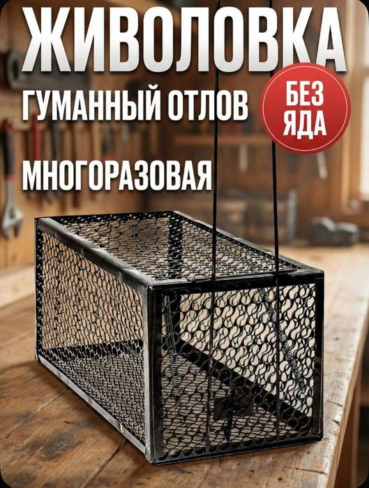 Крысолова мышеловка гуманная