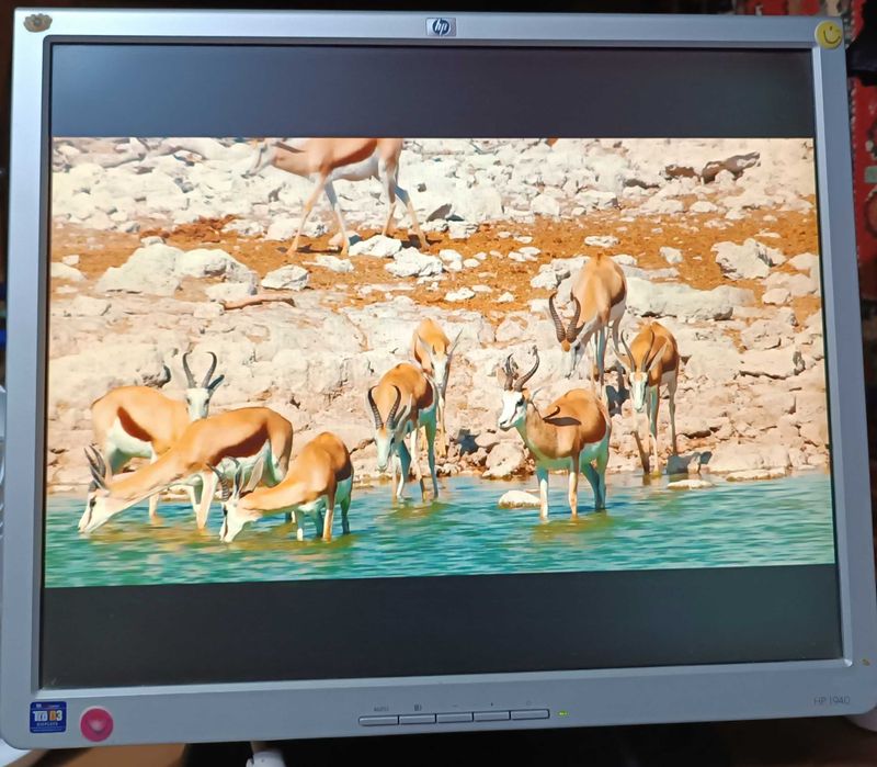 Монитор HP1940, 75гц, 1280=1024