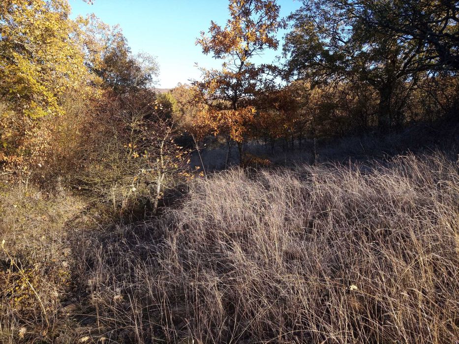 Продава се Парцел в с. Лясково, Област Стара Загора - 2220 кв.м за 10 €/кв.м - Снимка #4