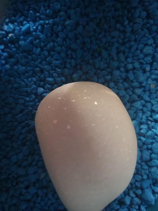 Decor piatra acvariu pietre acvariu pesti