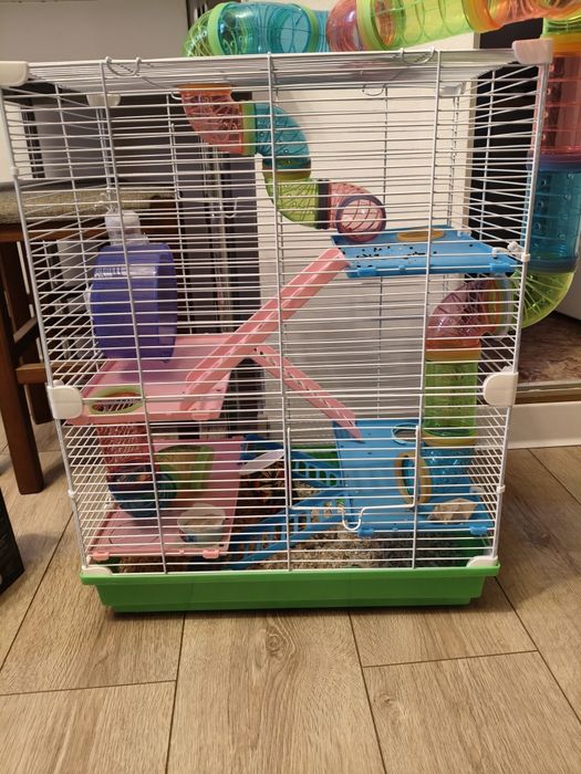 Cușcă pentru hamster+ un hamster pitic