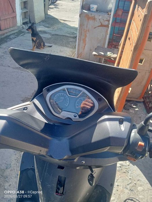 Скутер Racer Dragon 150