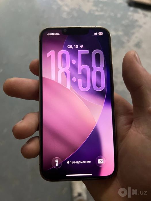Iphone 13 pro radnoy