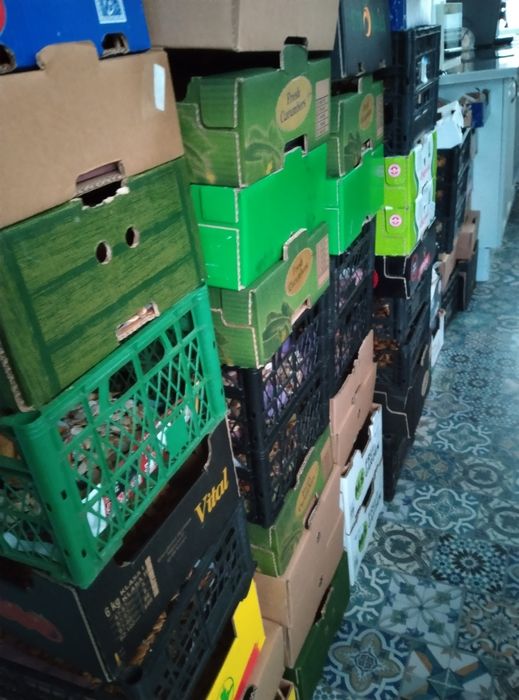 Продавам семена бели тикви и цигулки