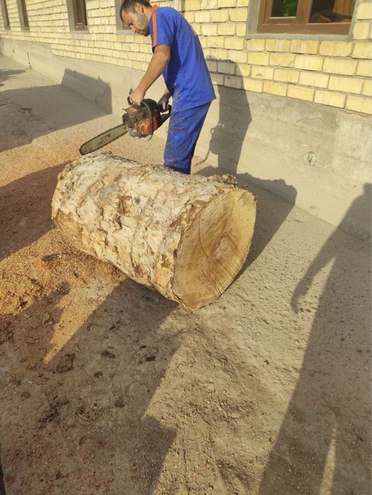 Daraxt kesish/Спли деревье и обрезка