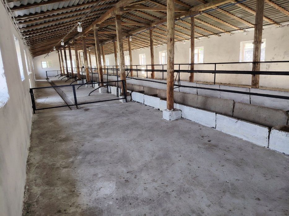 Ferma 50 sotixlik sotiladi