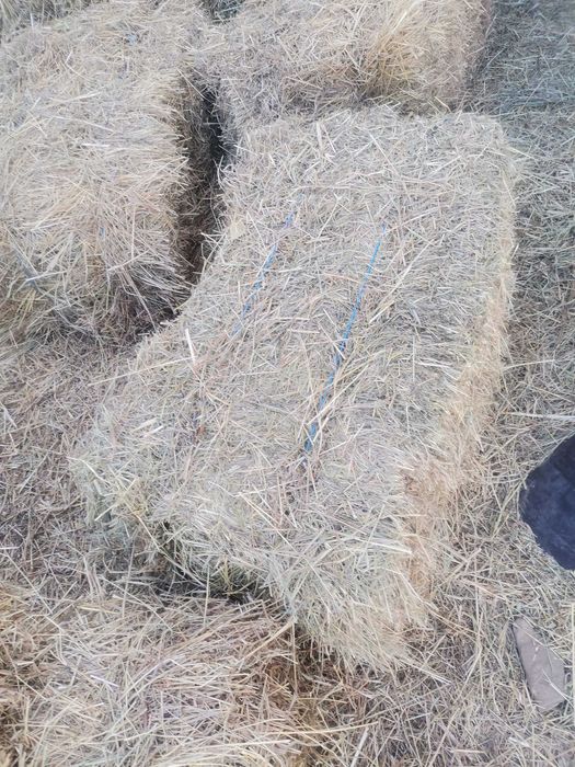Слама за декор, мулчиране, фотосесии, малки бали, Перник